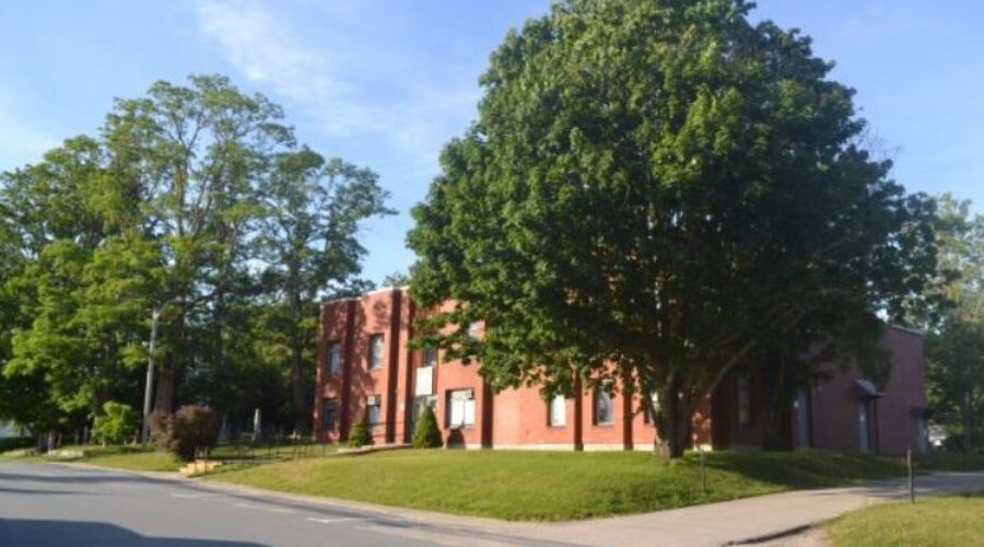 Shelburne Municipal offices closed due to flea infestation