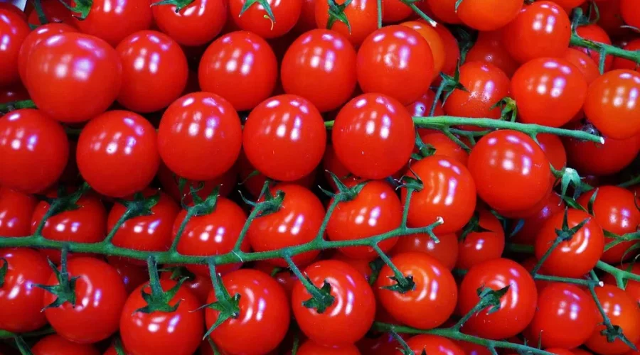 Keeping Your Bottom Firm