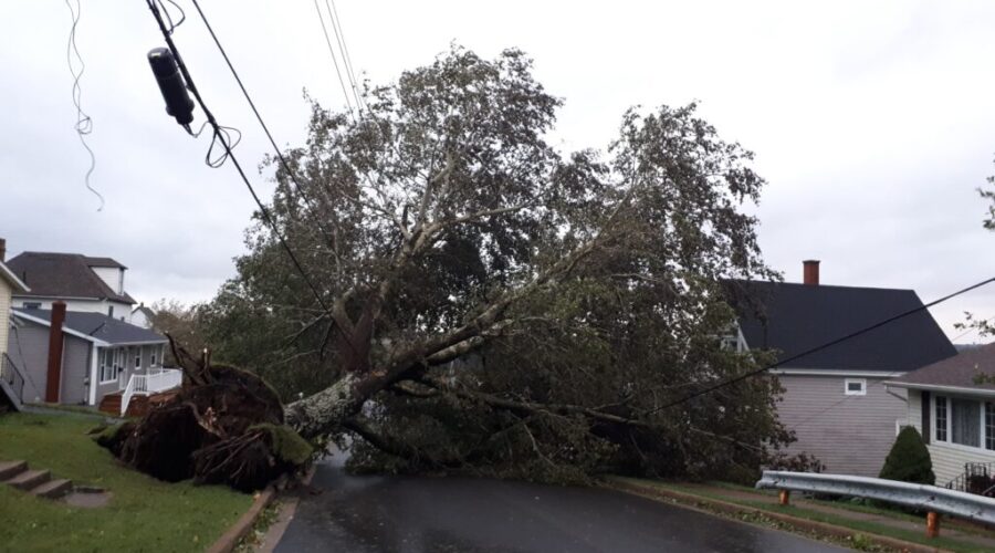 Power outages dropping as big clean up continues