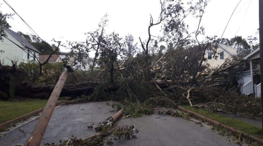 NS Power tackling largest outages as Fiona recovery continues