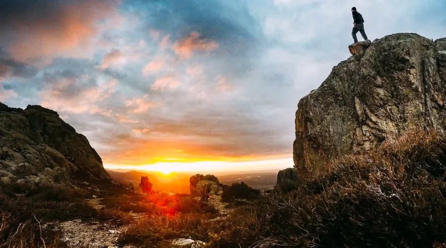 The Lord Of The Rings Spinoff Drops Tomorrow