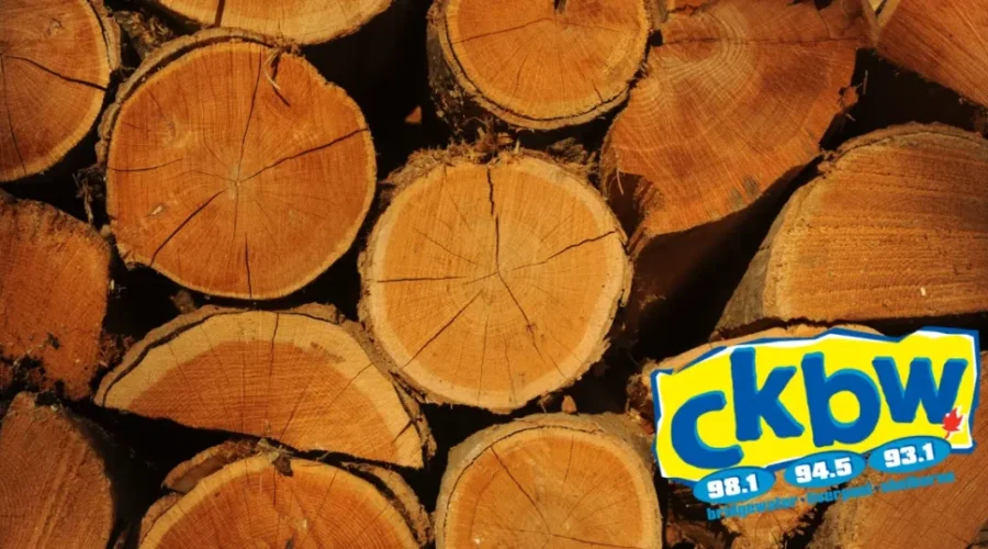 Wood For The Winter!