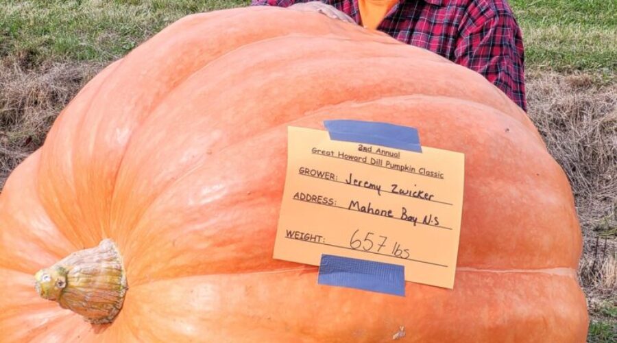 Mahone Bay man claims Howard Dill Award for giant pumpkin