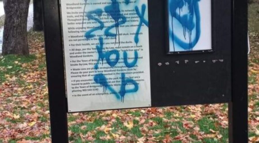 Bridgewater Seeing Increase in Vandalism