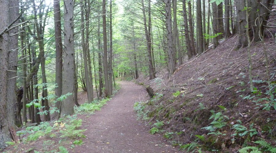 Provincial park season ends Monday