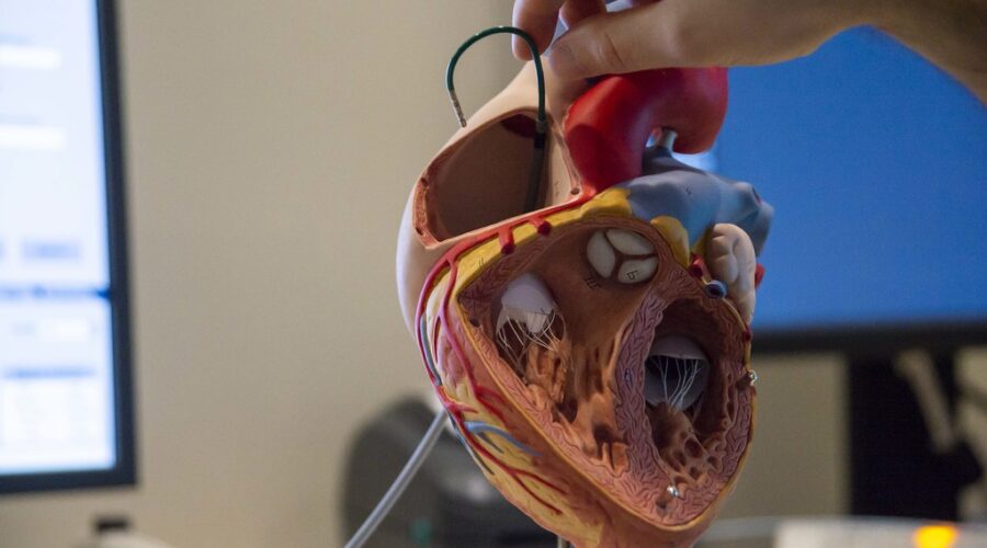 Cardiac Catheterization Lab for Cape Breton Island