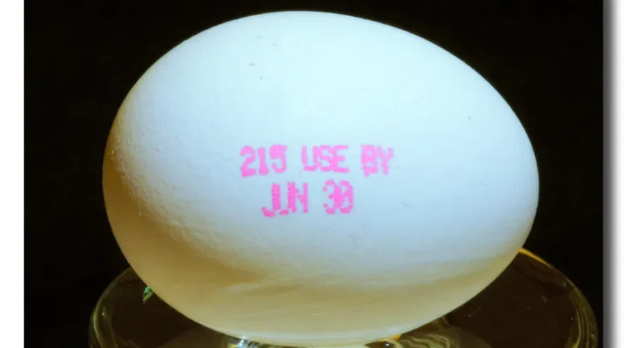 Is “Best Before” A Suggestion Or A Rule For You?