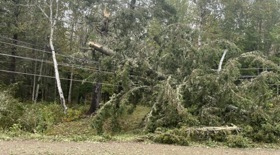 IBC Answers Your Fiona Insurance Claim Questions