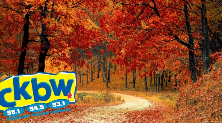 Fall Is Here! Here’s Some Great Fall Activities To Try!