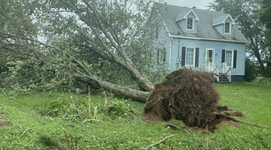 Province announces more help for Hurricane Fiona recovery