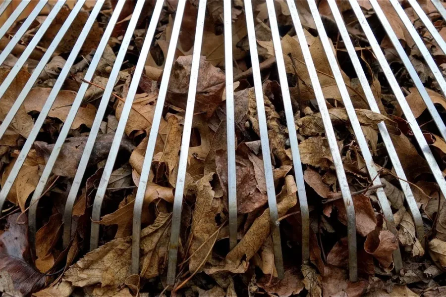 To Rake Or Not