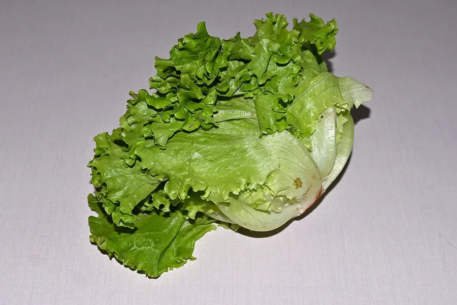 Lettuce – Do You Skip It Because Of The Price?