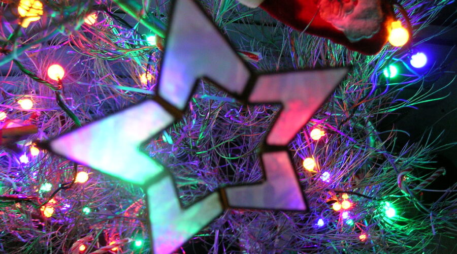 Feed Nova Scotia Benefit Concerts