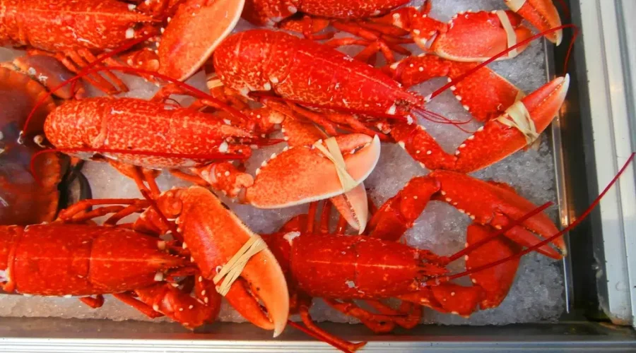 The Most Delicious Time Of The Year