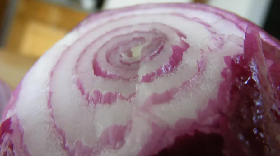 Strangest Thing Between 2 Slices Of Bread