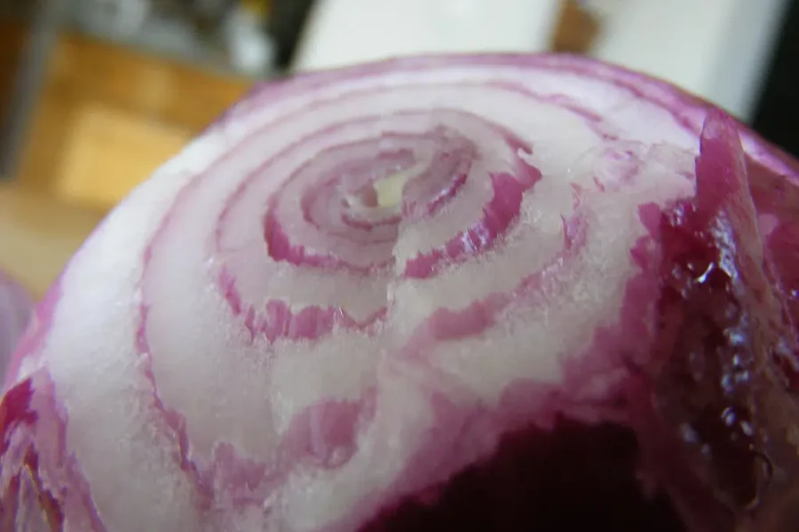 Strangest Thing Between 2 Slices Of Bread