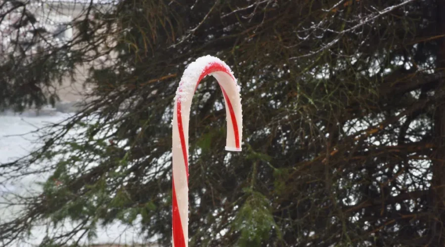 Edible Ornaments On Christmas Tree?