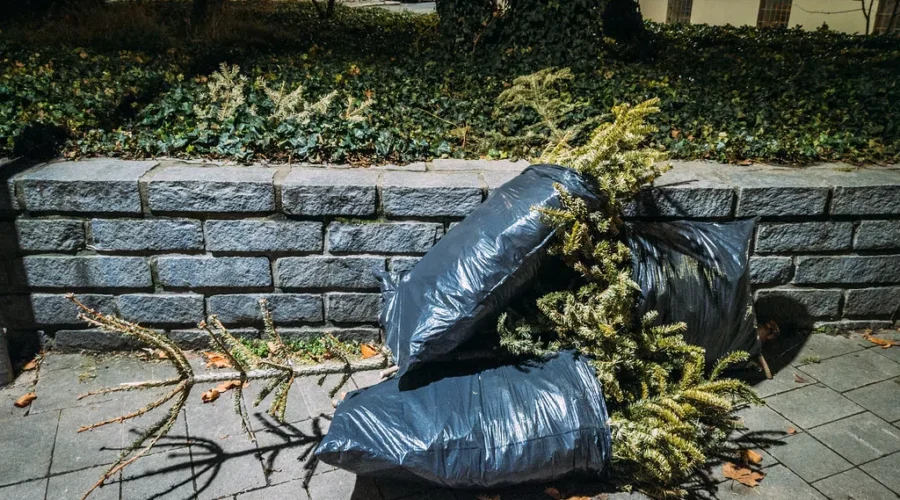 Christmas Until When?