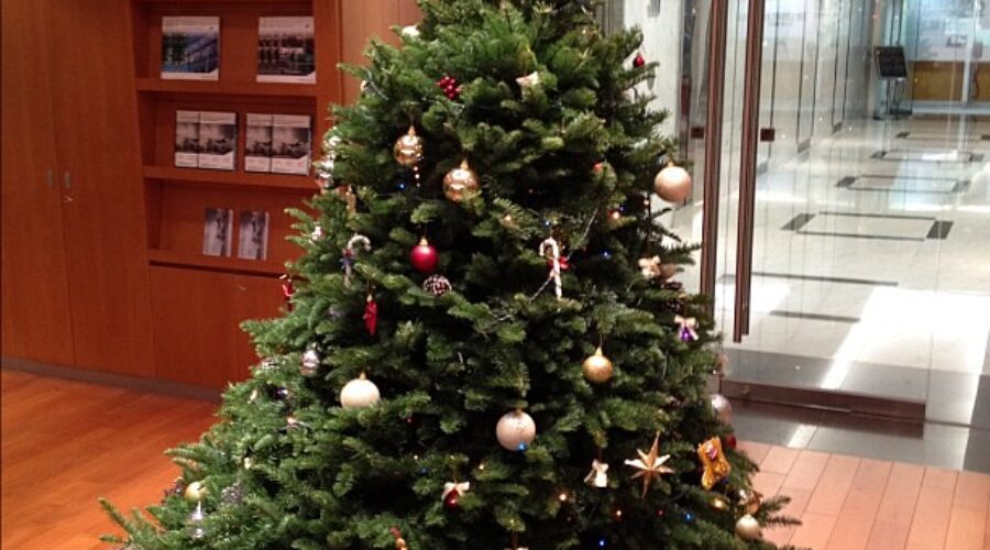 Nova Scotia Organizations Awarded with Christmas Trees