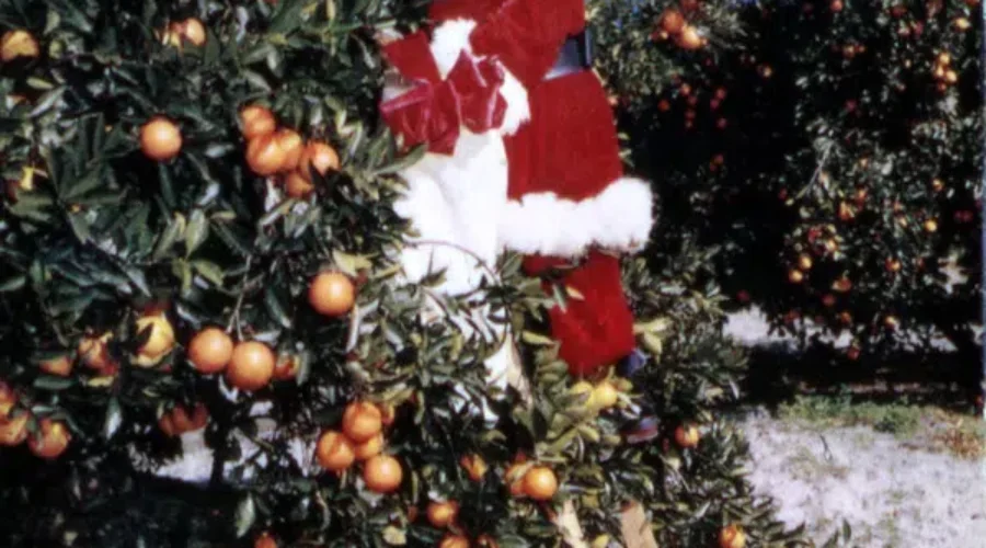 Does Santa Wrap Gifts?