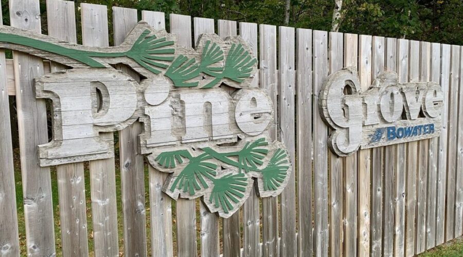 Needles Found in Pine Grove Park