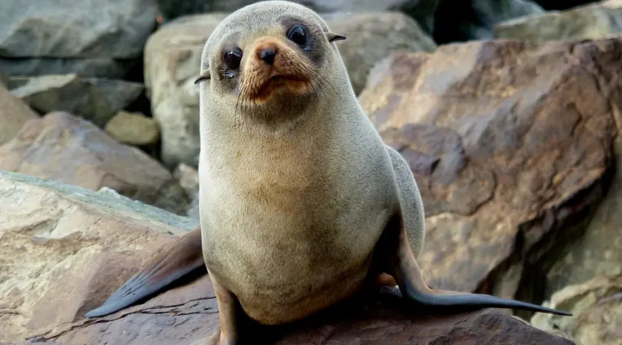 Trying New Things In 2023