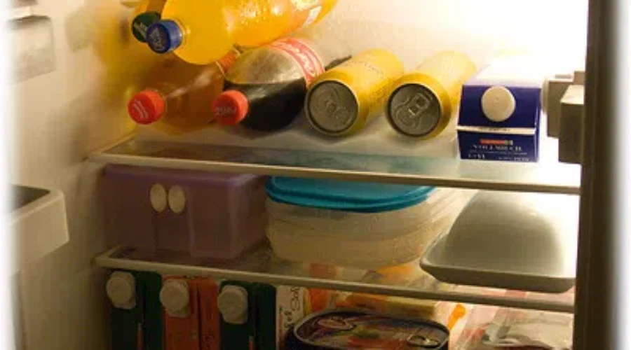 What Goes In The Fridge and What Stays Out?