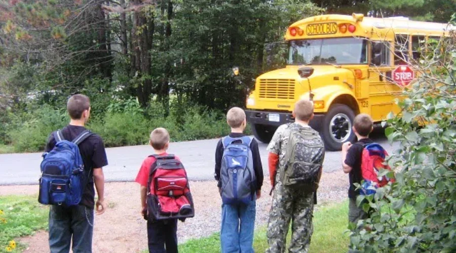 Back To Regular Routine!