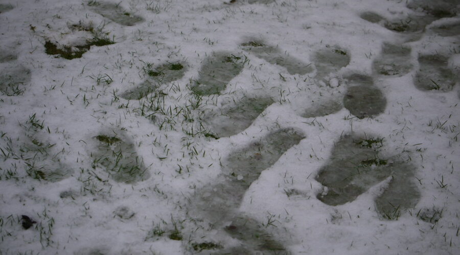 Snow, freezing rain prompts weather advisories