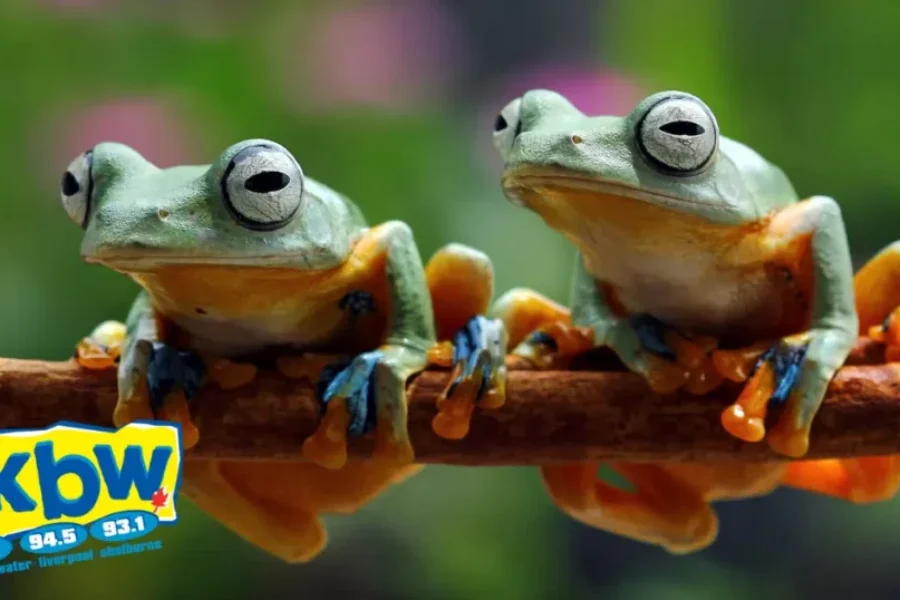 You Can Actually Own These Unique Pets In Nova Scotia!