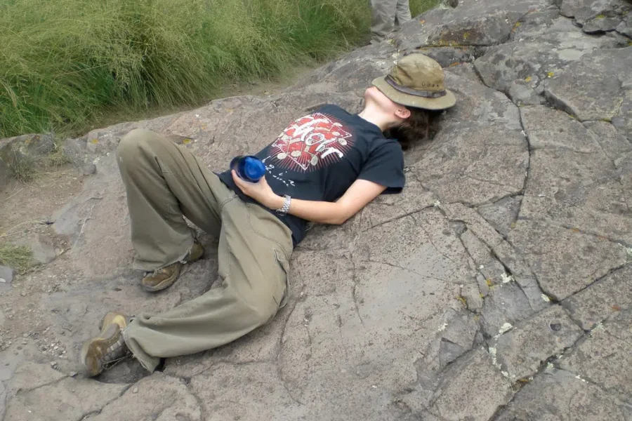 Do You Take Power Naps?