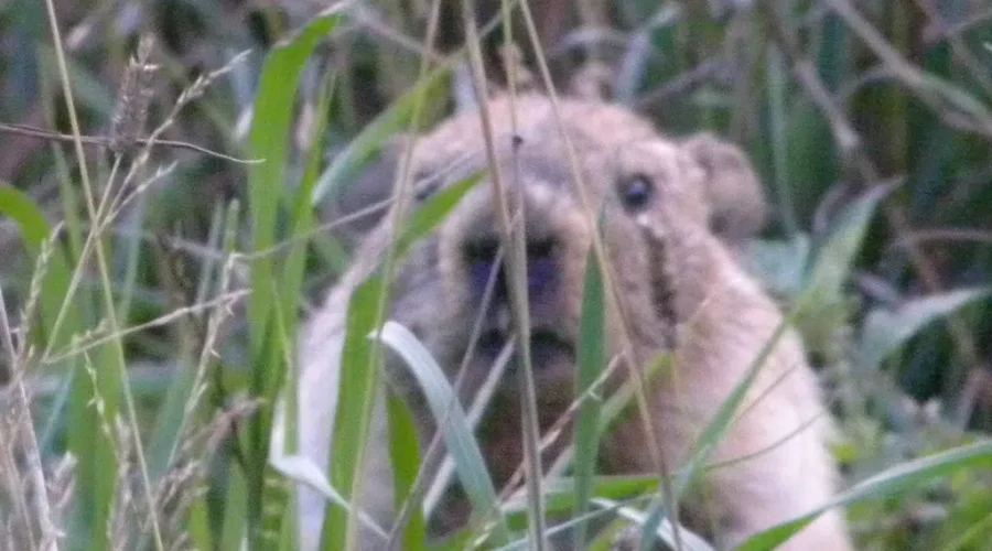 The Day We Find Out If Winter Will End