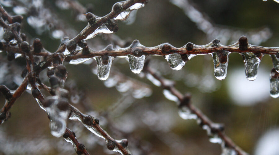 Update: Freezing Rain For Friday