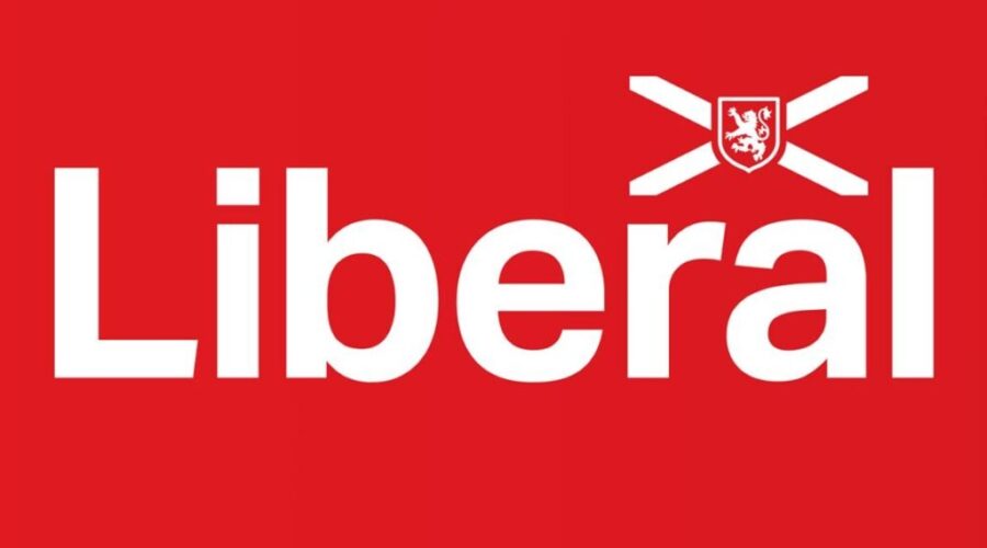 Liberals say new mental health program a ‘band-aid’ fix