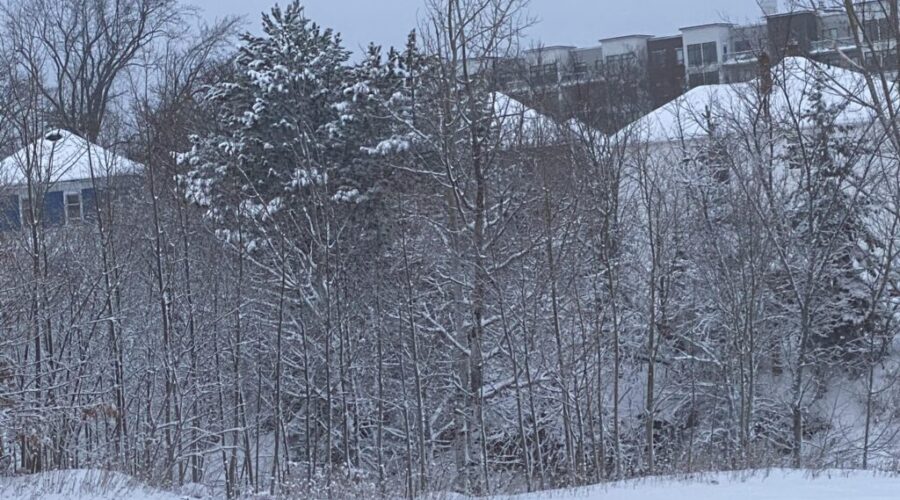 Classes cancelled due to weather and blowing snow