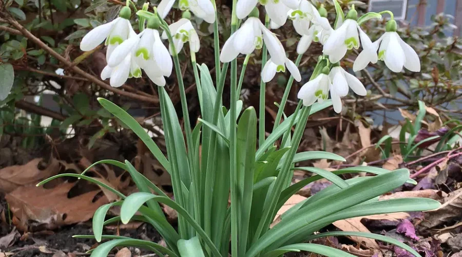 Spring Is (Almost) Here