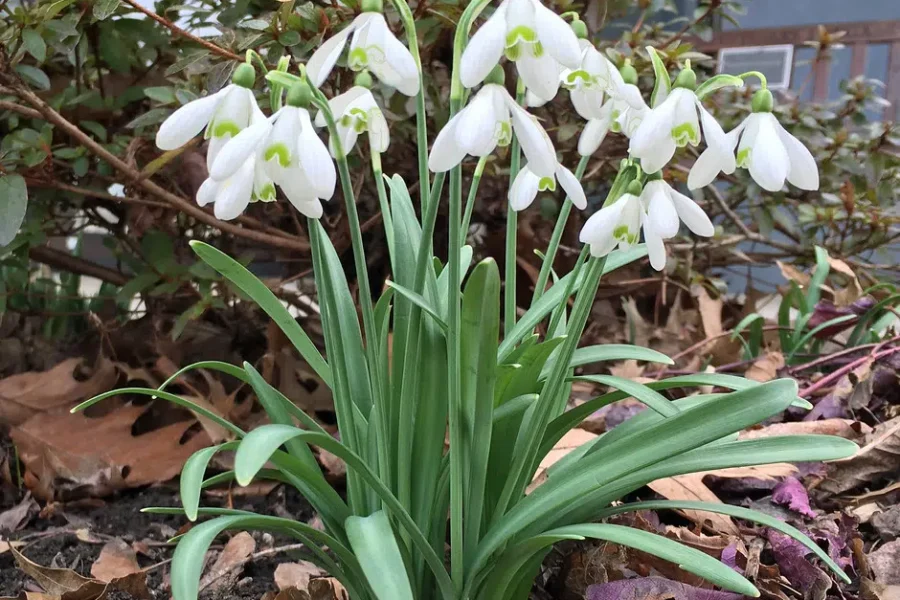 Spring Is (Almost) Here