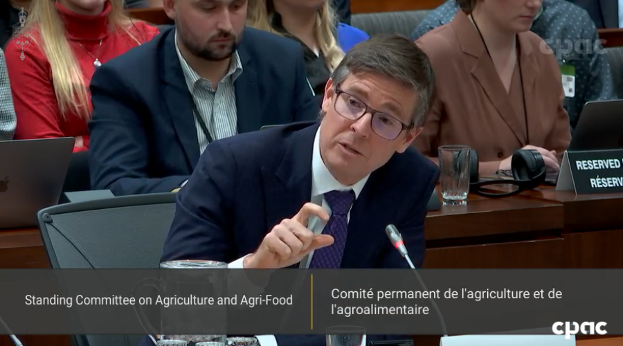 ‘We are not profiting from inflation’ grocery execs tell committee