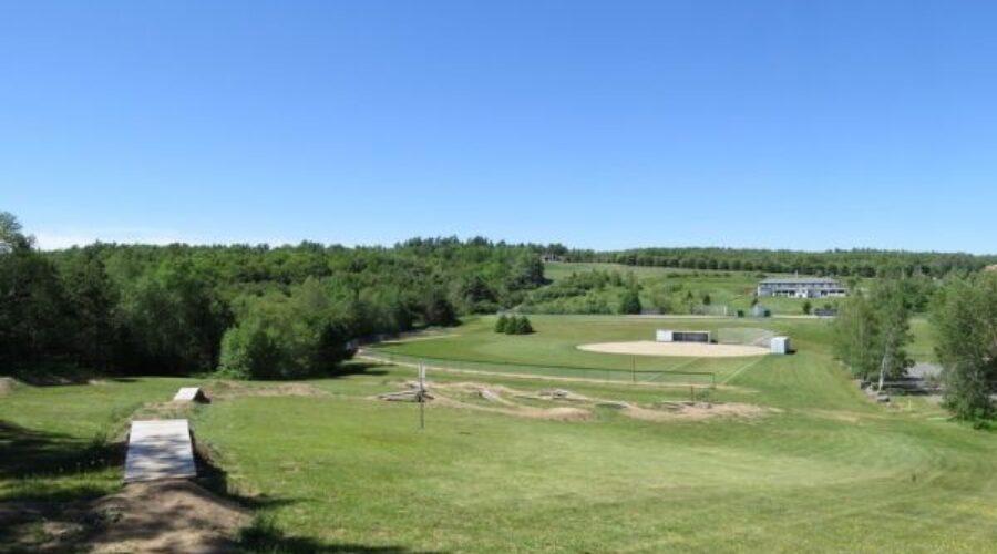 MARC ballfields closed for start of season due to grub infestation