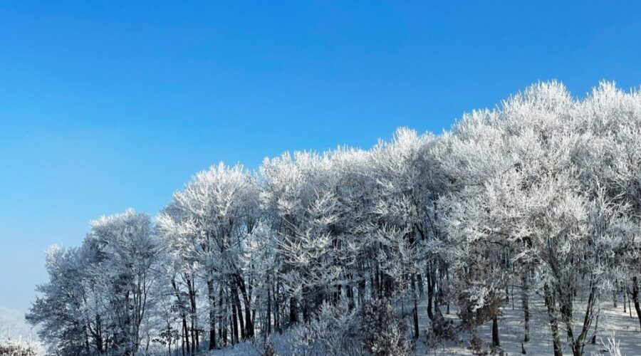 Nova Scotia Braces For Snowfall on Tuesday