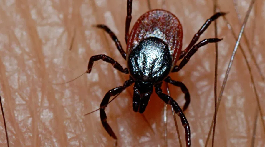 I Know They’re Out There