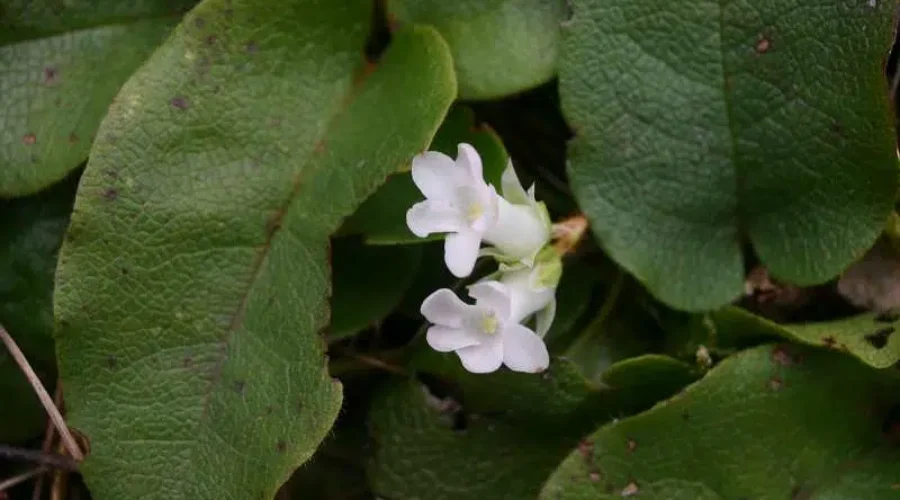 Do We Need A Name Change?