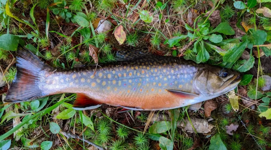 Time To Get On The Water