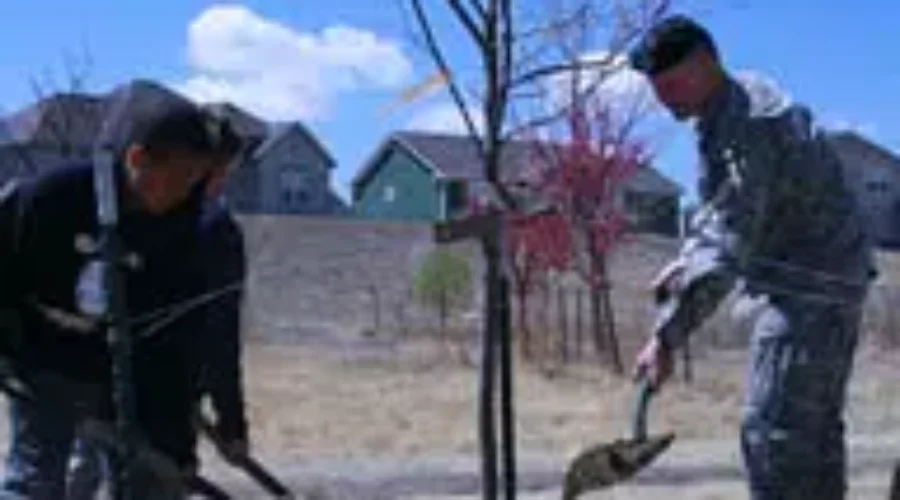 Celebrating Earth Day This Weekend