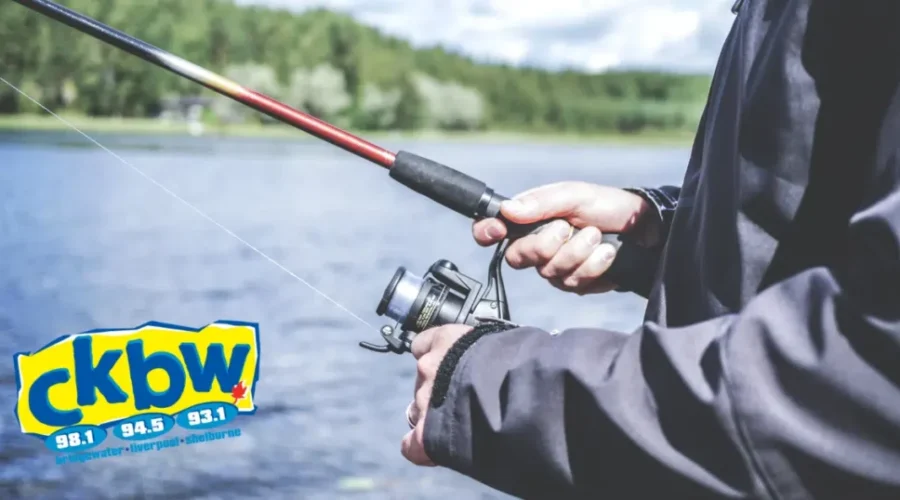 Tonight’s Meal…Chain Pickerel!