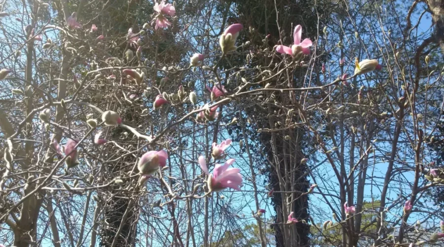 They’re Slowly Coming