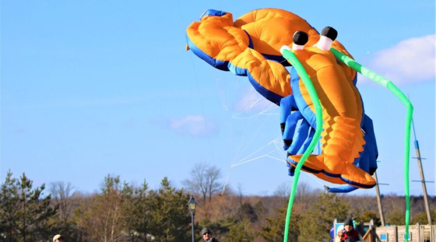 Over 100 kites available at this year’s MODL Family Fun Day