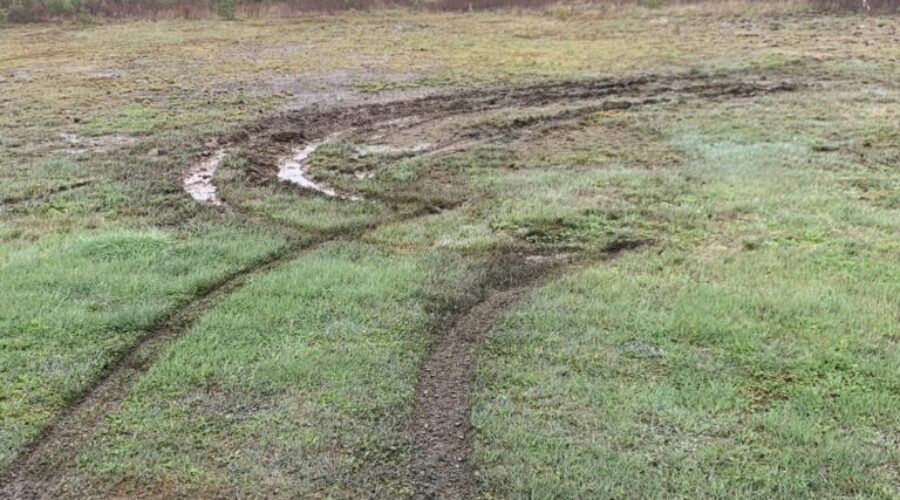 Impact Church lawn vandalized