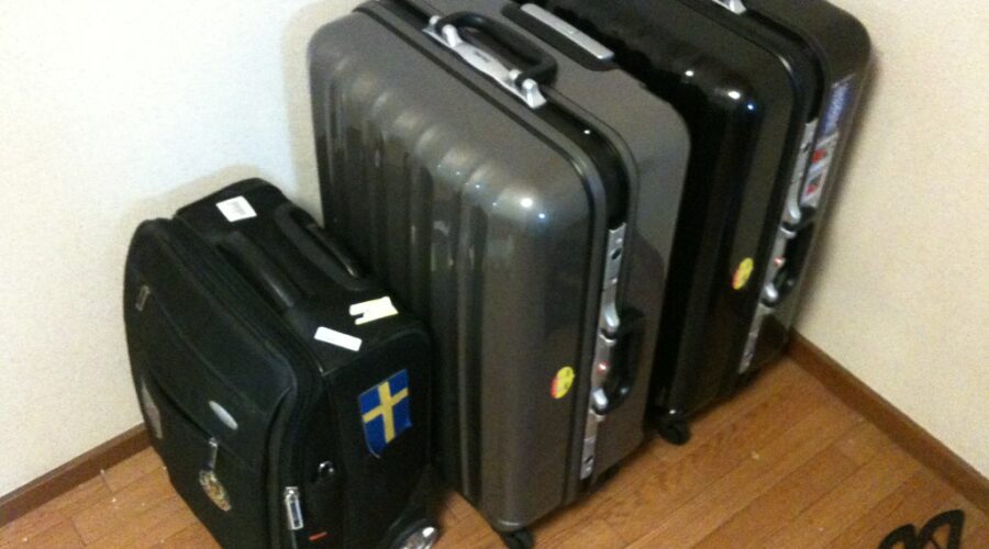 Survey finds inflation and gas prices having little impact on travel