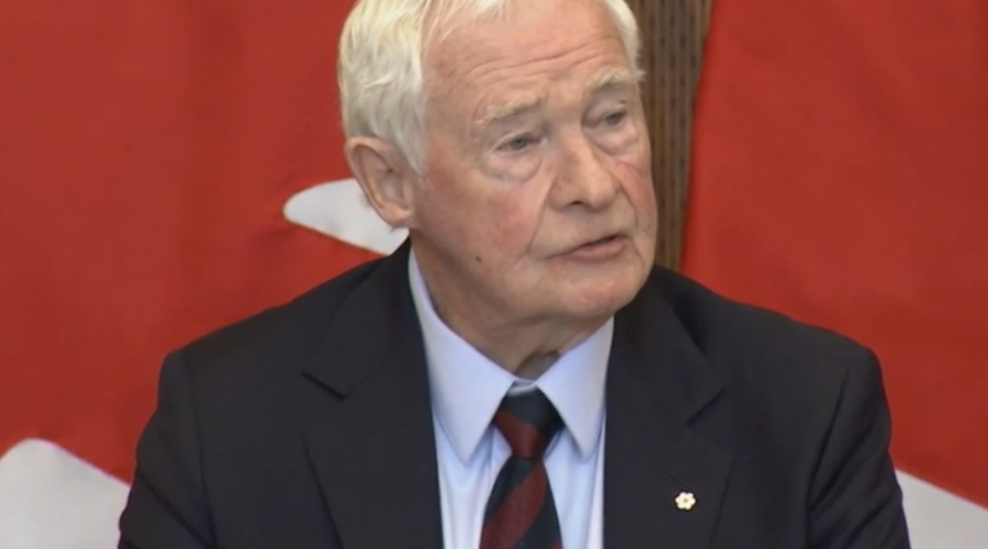 Report released on foreign interference in federal elections